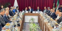 بررسی راهبردهای توسعه صنعت پتروشیمی عسلویه