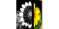 یک راهکار ساده و ارزان برای شناسایی آلودگی، بیماری و حتی ساختار کهکشان‌ها!