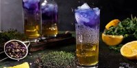 محبوب‌ترین دانه برای خنک کردن بدن در فصل گرما
