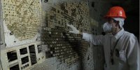 مهمان ناخوانده چرنوبیل | قارچ سیاه چطور زنده مانده است
