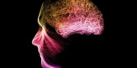 راز ذهن آرام | مدیتیشن با مغز ما چه می‌کند؟