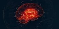 پاسخ  نتیجه  MRI فقط در چند ثانیه!