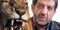 لحظه مواجه شدن ضرغامی با شیر خشمگین