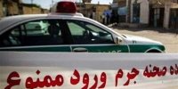 لحظه ای که منجر به قتل سروش ستوده شد + ویدئو