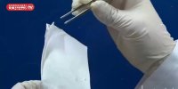 تولید ماسک‌های جادویی نانو توسط دانشمندان ایرانی + ویدئو | این ماسک ها چه ویژگی هایی دارند؟