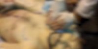 تا ۱۸ ضربه چاقو؛ تصاویر جدید و دلخراش از اجساد یک جنایت (۱۶+)
