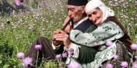 پیری شمال و جوانی جنوب