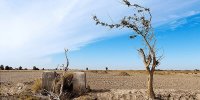 در این استانهای کشور حتی یک قطره باران هم نباریده است؟ | نقشه سقوط بارش در ایران را ببینید