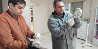 جنگ پای خرس های تهران را به یزد کشاند | گزارش تصویری از انتقال خرس‌های پردیسان به یزد