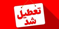 آلودگی هوا واحدهای صنفی این شهر را تعطیل کرد
