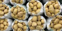 صادرات تخم‌مرغ، سیب‌زمینی، گوجه‌فرنگی و خرما ممنوع شد