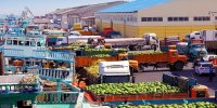دستور دولت؛ ممنوعیت مهم اقتصادی تا اطلاع ثانوی | ۳ تصمیم‌ مهم برای تسریع در ترخیص کالاها