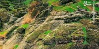 تصویری از زیبایی مخمل کوه لرستان