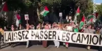 تظاهرات حامیان فلسطین در پاریس + فیلم