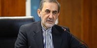ولایتی: تناقض گویی آمریکایی ها از بی سرو سامانی حکومت آمریکا حکایت دارد