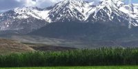تصویری از طبیعت بهاری منطقه اشترانکوه