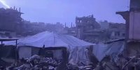 آلمان ۸ الاغ را از غزه پذیرفته اما با پذیرش کودکان مجروح غزه مخالفت کرد!