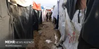 ۲۵۰ هزار خانواده زیر باران و سیلاب؛ غزه در آستانه فاجعه انسانی