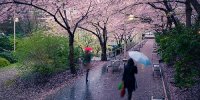 پیش‌بینی وضعیت هوا طی روزهای آینده/ آسمان این  استان‌ها بارانی است