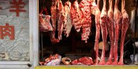 فروش گوشت روباه به‌جای گاو و بره