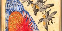 نسخه خطی مصور کلیله و دمنه در کتابخانه بودلیان آکسفورد