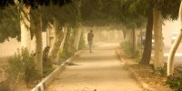 طوفان امروز کار دست تهرانی‌ها داد/ جزئیات آمار