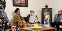 نماینده ولی فقیه در هلال احمر با خانواده شهید محمد منتظر الظهور دیدار کرد
