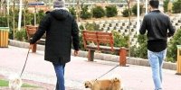 سگ‌گردانی در این شهر ممنوع شد