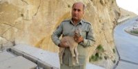 یک محیط‌بان شهید شد/ عکس