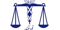 اطلاعیه پزشکی قانونی درباره پرونده قتل الهه حسین‌نژاد
