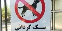 روزنامه شهرداری: اجرای قانون ممنوعیت سگ گردانی، مردم را قانون شکن می کند؛ آن را اجرا نکنید/ قابلیت اجرا ندارد، رهایش می کنید