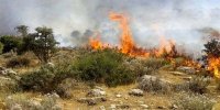 آتش‌سوزی گسترده در سنندج/ جزئیات