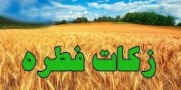 برای نخستین بار در کشور؛ اعلام مبلغ فطریه به تفکیک هر استان/ عکس