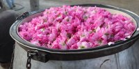 کارگاه گلابگیری در خانه