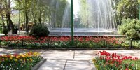 بوستان گردی در یک محله شلوغ