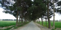 سفر به روستایی قدیمی با عمارت های مجلل