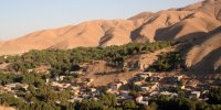روستای آلوها جهانی می ‌شود | آلوی برغان چطور شهرت جهانی پیدا کرد؟