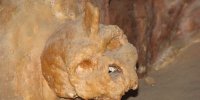 موجود ناشناخته انسان‌نمایی که ۲۸۶ هزار سال قبل در یک غار مرده است