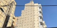 اهالی این خانه همسایه پرنده ها شدند + فیلم