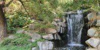 سفر از باغ گیاهشناسی به باغ پرندگان