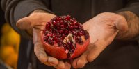 جشن شکرگذاری برداشت میوه بهشتی در ایران | انار چطور گردشگران با جذب می کند؟