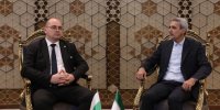 توسعه مراودات مجالس دو کشور منجر به ارتقاء روابط اقتصادی و تجاری می شود