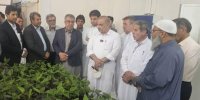 بازدید اعضای کمیسیون کشاورزی مجلس از ایستگاه تحقیقات کشاورزی بمپور؛ تأکید بر توسعه تولید نهال موز و خرمای مجول