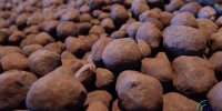 پذیرش ۵ انبار جدید برای معاملات گواهی سپرده گندله در بورس کالای ایران