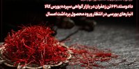 دادوستد ۶۴۱ تن زعفران در بازار گواهی سپرده بورس کالا/  انبارهای بورسی در انتظار ورود محصول برداشت امسال