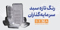 رنگ تازه در سبد سرمایه‌گذاران بورس