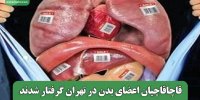 قاچاقاچیان اعضای بدن در تهران گرفتار شدند