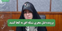 پرونده قتل مجری شبکه افق به کجا کشید