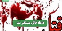 داماد قاتل دستگیر شد