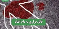 قاتل فراری به دام افتاد